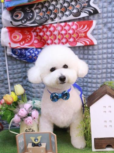 20230506ププくん